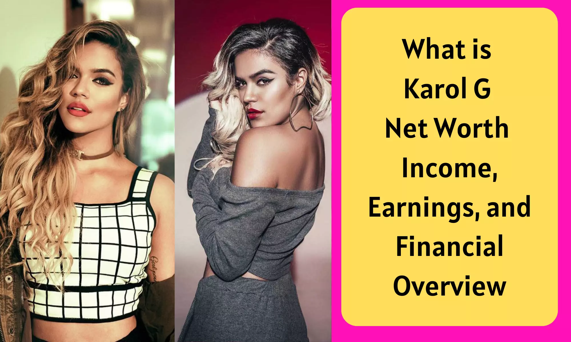 Karol G Net Worth